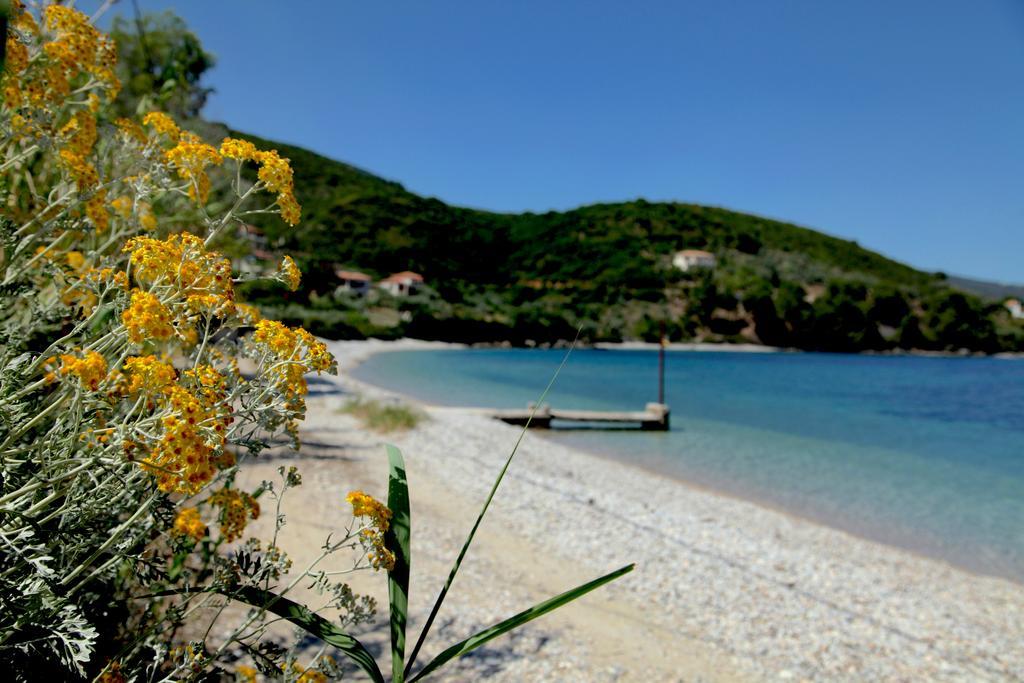 Casa Kalypso Suites & Villa Steni Vala Alonissos Eksteriør billede